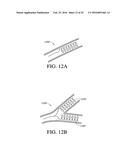 CHEMICAL NEUROMODULATION OF NERVES INNERVATING THE LIVER diagram and image