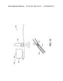 CHEMICAL NEUROMODULATION OF NERVES INNERVATING THE LIVER diagram and image