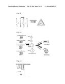 DRUG CARRIER HAVING SELF-ASSEMBLED 3-D NUCLEIC ACID NANOSTRUCTURE diagram and image