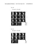 DRUG CARRIER HAVING SELF-ASSEMBLED 3-D NUCLEIC ACID NANOSTRUCTURE diagram and image