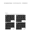 DRUG CARRIER HAVING SELF-ASSEMBLED 3-D NUCLEIC ACID NANOSTRUCTURE diagram and image