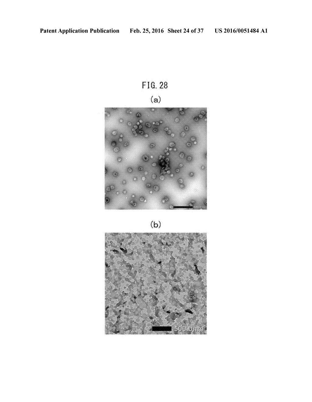 SUBSTANCE-CONTAINING VESICLE, AND PRODUCTION METHOD THEREFOR - diagram, schematic, and image 25