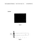 Biodegradable Bionanoparticles for Releasing the GSE24-2 Peptide, Method     for the Production Thereof, and Use of Same diagram and image