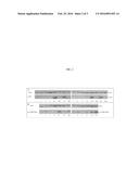 CONTINUOUS LOCAL SLOW-RELEASE OF THERAPEUTICS FOR HEAD AND NECK PROBLEMS     AND UPPER AERODIGESTIVE DISORDERS diagram and image