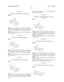 BISARYL-BONDED ARYLTRIAZOLONES AND USE THEREOF diagram and image