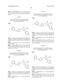 BISARYL-BONDED ARYLTRIAZOLONES AND USE THEREOF diagram and image