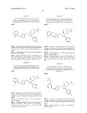 BISARYL-BONDED ARYLTRIAZOLONES AND USE THEREOF diagram and image