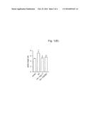 USE OF AN ANG-(1-7) RECEPTOR AGONIST IN ACUTE LUNG INJURY diagram and image