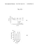 USE OF AN ANG-(1-7) RECEPTOR AGONIST IN ACUTE LUNG INJURY diagram and image