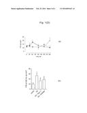 USE OF AN ANG-(1-7) RECEPTOR AGONIST IN ACUTE LUNG INJURY diagram and image