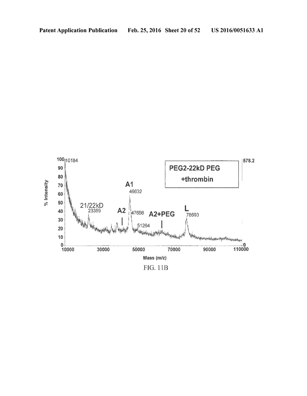 METHODS OF TREATING HEMOPHILIA IN PATIENTS HAVING DEVELOPED INHIBITORY     ANTIBODIES - diagram, schematic, and image 21