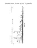 NOVEL IMMUNOGENIC EPITOPES FOR IMMUNOTHERAPY diagram and image