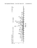 NOVEL IMMUNOGENIC EPITOPES FOR IMMUNOTHERAPY diagram and image