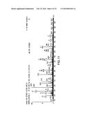 NOVEL IMMUNOGENIC EPITOPES FOR IMMUNOTHERAPY diagram and image