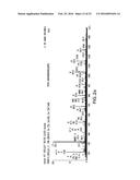 NOVEL IMMUNOGENIC EPITOPES FOR IMMUNOTHERAPY diagram and image