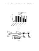 COMPOSITIONS AND METHODS FOR SELECTIVELY MODULATING TREGS diagram and image