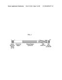 PROCESS FOR PURIFYING RECOMBINANT PLASMODIUM FALCIPARUM CIRCUMSPOROZOITE     PROTEIN diagram and image