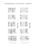 PROCESS FOR PURIFYING RECOMBINANT PLASMODIUM FALCIPARUM CIRCUMSPOROZOITE     PROTEIN diagram and image