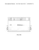 PROCESS FOR PURIFYING RECOMBINANT PLASMODIUM FALCIPARUM CIRCUMSPOROZOITE     PROTEIN diagram and image