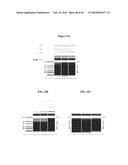 PROCESS FOR PURIFYING RECOMBINANT PLASMODIUM FALCIPARUM CIRCUMSPOROZOITE     PROTEIN diagram and image