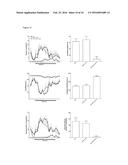 SUPRAMOLECULAR AGGREGATES COMPRISING MALEIMIDO CORES diagram and image