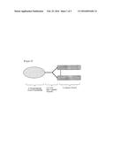 POLYPEPTIDE COMPLEX COMPRISING NON-PEPTIDYL POLYMER HAVING THREE     FUNCTIONAL ENDS diagram and image