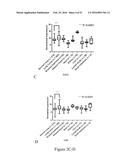 MOLECULAR IMAGING PROBES FOR LUNG CANCER INTRAOPERATIVE GUIDANCE diagram and image