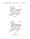 MOLECULAR IMAGING PROBES FOR LUNG CANCER INTRAOPERATIVE GUIDANCE diagram and image