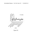 MOLECULAR IMAGING PROBES FOR LUNG CANCER INTRAOPERATIVE GUIDANCE diagram and image