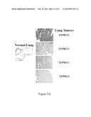 MOLECULAR IMAGING PROBES FOR LUNG CANCER INTRAOPERATIVE GUIDANCE diagram and image