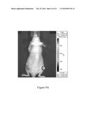 MOLECULAR IMAGING PROBES FOR LUNG CANCER INTRAOPERATIVE GUIDANCE diagram and image