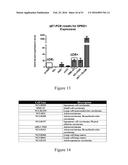 MOLECULAR IMAGING PROBES FOR LUNG CANCER INTRAOPERATIVE GUIDANCE diagram and image