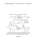 MOLECULAR IMAGING PROBES FOR LUNG CANCER INTRAOPERATIVE GUIDANCE diagram and image