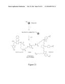 MOLECULAR IMAGING PROBES FOR LUNG CANCER INTRAOPERATIVE GUIDANCE diagram and image