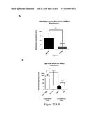 MOLECULAR IMAGING PROBES FOR LUNG CANCER INTRAOPERATIVE GUIDANCE diagram and image