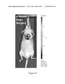 MOLECULAR IMAGING PROBES FOR LUNG CANCER INTRAOPERATIVE GUIDANCE diagram and image