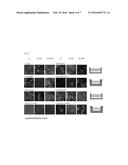 HYBRID GEL COMPRISING PARTICULATE DECELLULARIZED TISSUE diagram and image