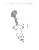 SHAPEABLE BONE GRAFT SUBSTITUTE AND INSTRUMENTS FOR DELIVERY THEREOF diagram and image