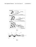 Medical Device, its Preparation Method and Applications Thereof diagram and image