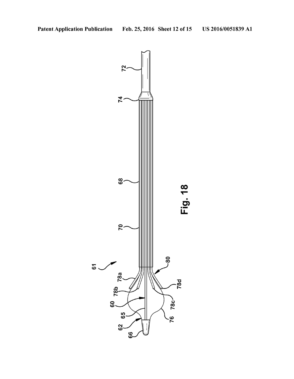 MULTITUBE ESOPHAGEAL BRACHYTHERAPY CATHETER - diagram, schematic, and image 13