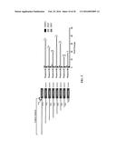 SMALL MOLECULE MEDIATED TRANSCRIPTIONAL INDUCTION OF E-CADHERIN diagram and image