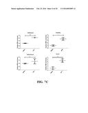 SMALL MOLECULE MEDIATED TRANSCRIPTIONAL INDUCTION OF E-CADHERIN diagram and image