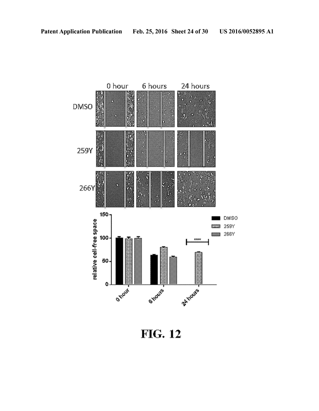 SMALL MOLECULE MEDIATED TRANSCRIPTIONAL INDUCTION OF E-CADHERIN - diagram, schematic, and image 25