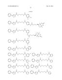 SMALL MOLECULE MEDIATED TRANSCRIPTIONAL INDUCTION OF E-CADHERIN diagram and image