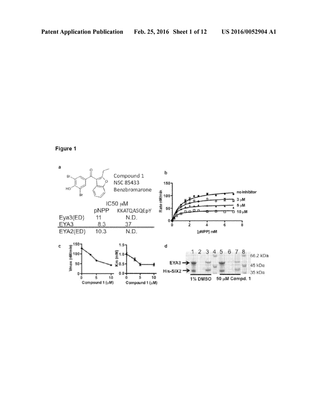 USE OF SMALL MOLECULE INHIBITORS TARGETING EYA TYROSINE PHOSPHATASE - diagram, schematic, and image 02