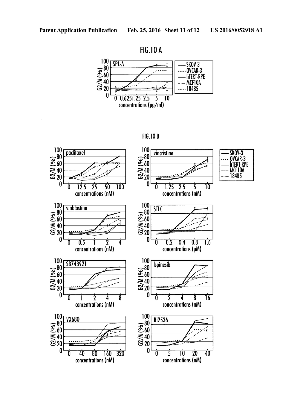 SMALL COMPOUNDS TARGETING TACC3 - diagram, schematic, and image 12