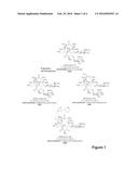 MACROLIDES AND METHODS OF THEIR PREPARATION AND USE diagram and image