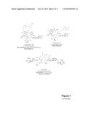 MACROLIDES AND METHODS OF THEIR PREPARATION AND USE diagram and image