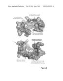 MACROLIDES AND METHODS OF THEIR PREPARATION AND USE diagram and image