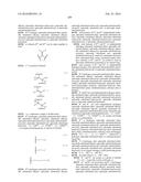 MACROLIDES AND METHODS OF THEIR PREPARATION AND USE diagram and image